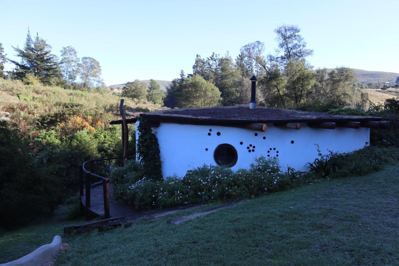 Half Moon Hollow Eco Cottage Мозел Бей Екстериор снимка