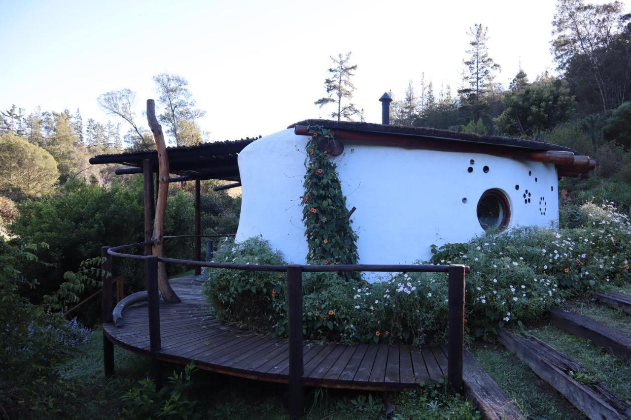 Half Moon Hollow Eco Cottage Мозел Бей Екстериор снимка