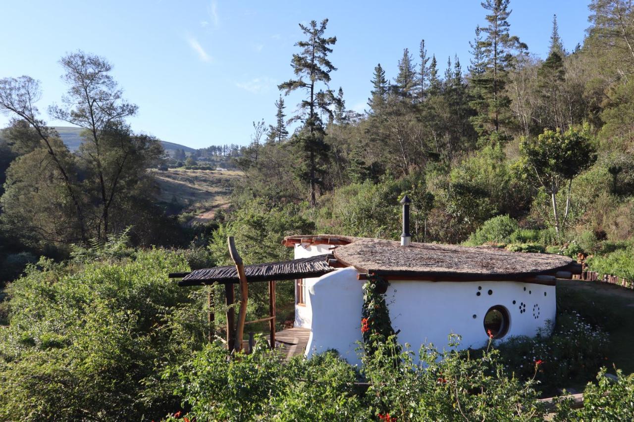 Half Moon Hollow Eco Cottage Мозел Бей Екстериор снимка